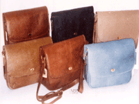 Ladies Handbag (LHB-35)